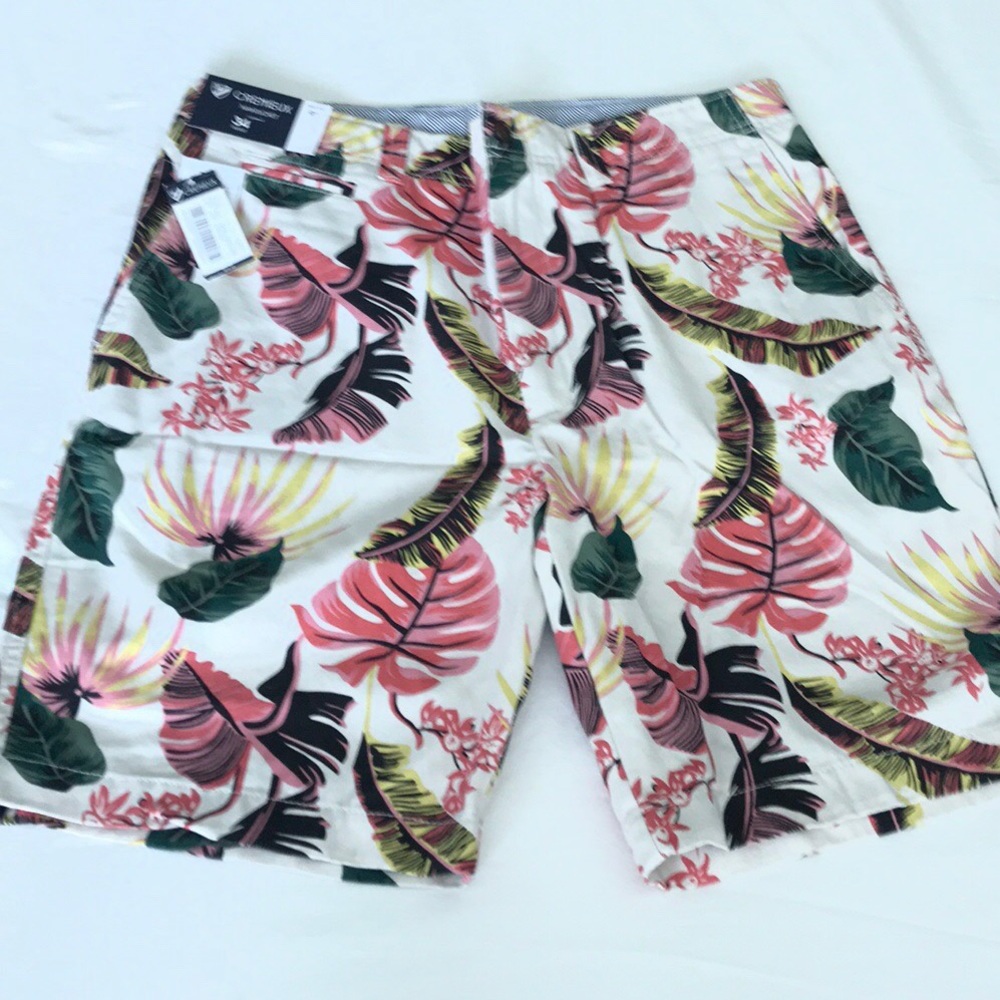 Daniel  Cremieux Nantucket Shorts 9” Inseam NWT